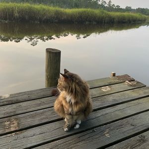 Meet your Posher, Ariana